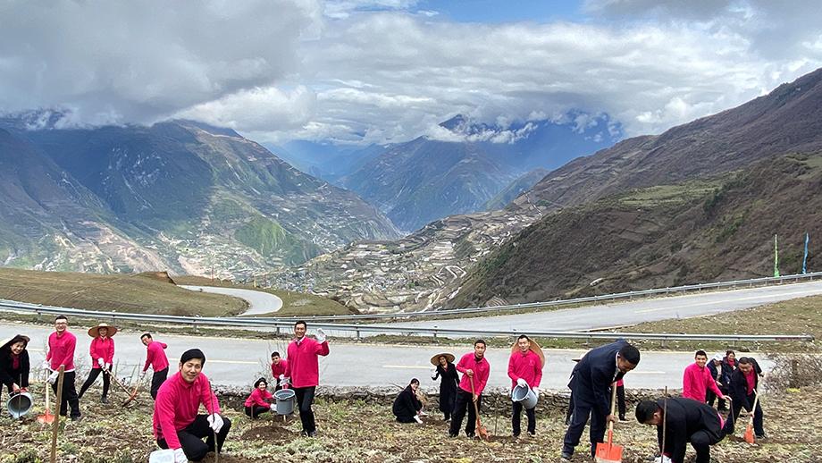 Banyan Tree China Jiuzhaigou Gallery - Treeplanting