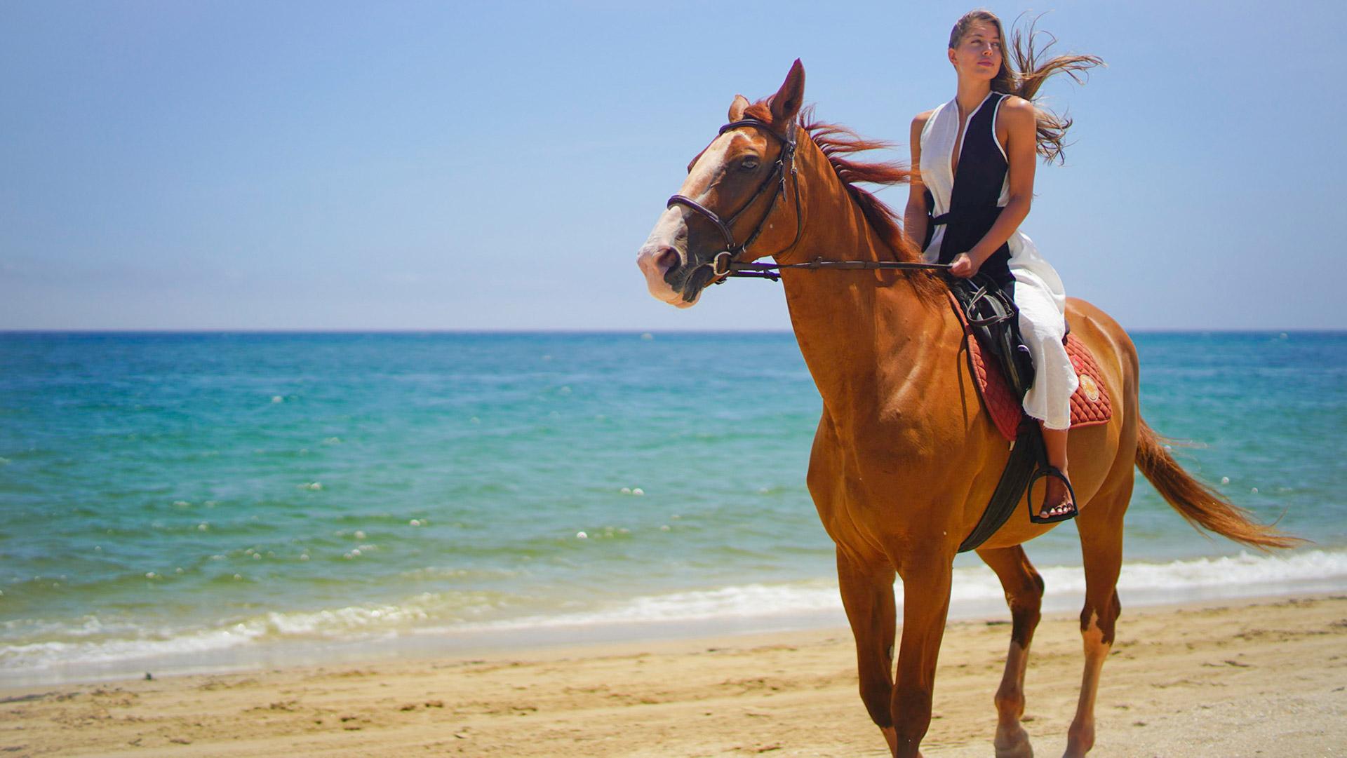 Where to Go Experiences Morocco