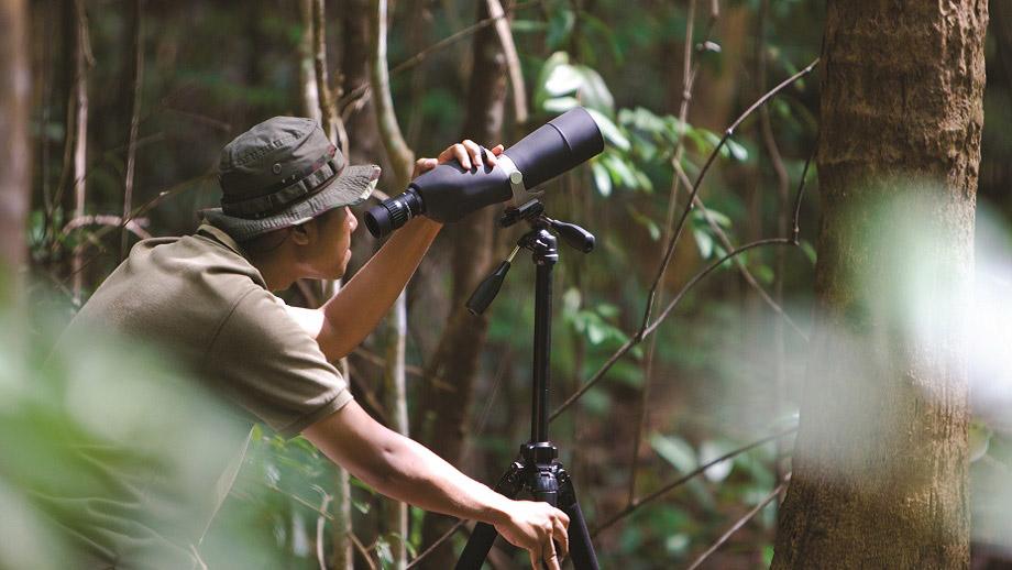 Banyan Tree Indonesia Bintan Facilities - Conservation Lab