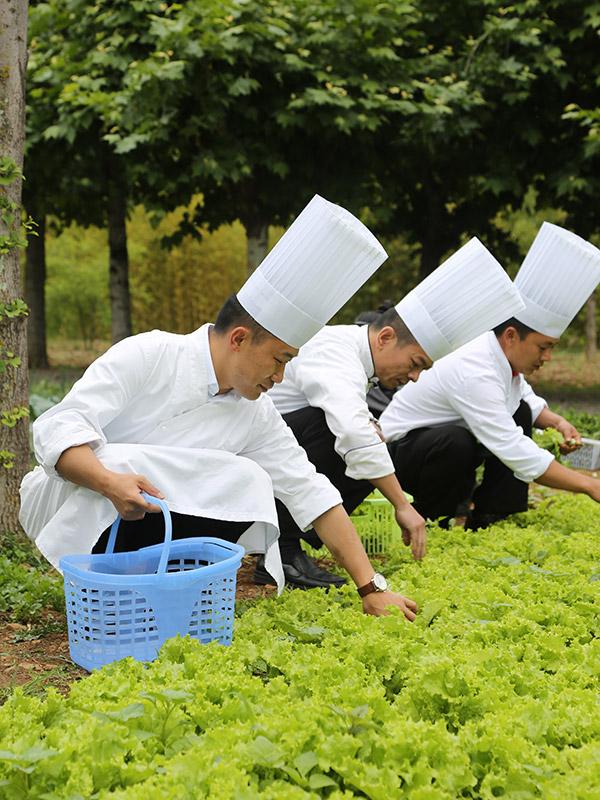 Banyan Tree China Lijiang Experiences - Organic Garden