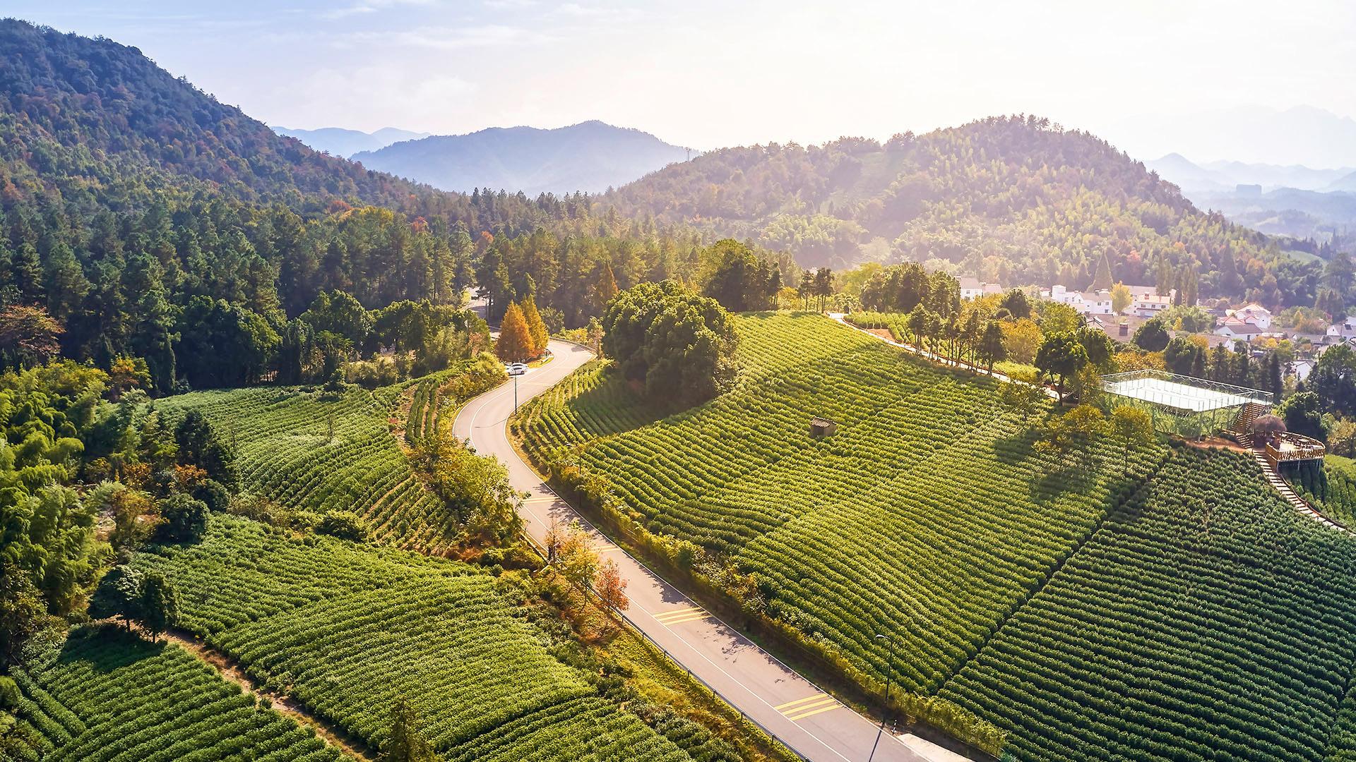 Things To Do Experiences Banyan Tree Anji China