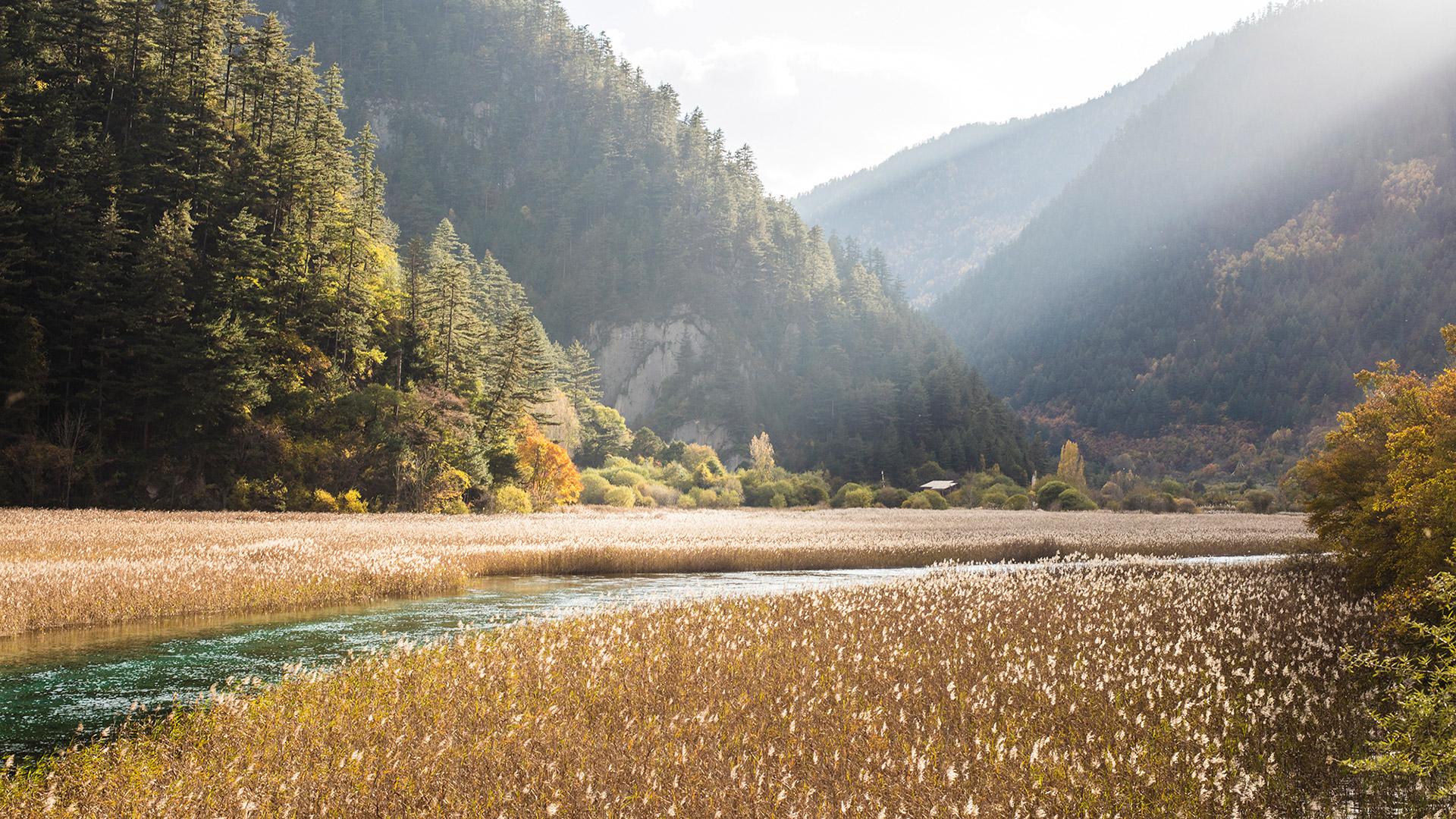 Waterfall Natural Attractions in Banyan Tree Jiuzhaigou