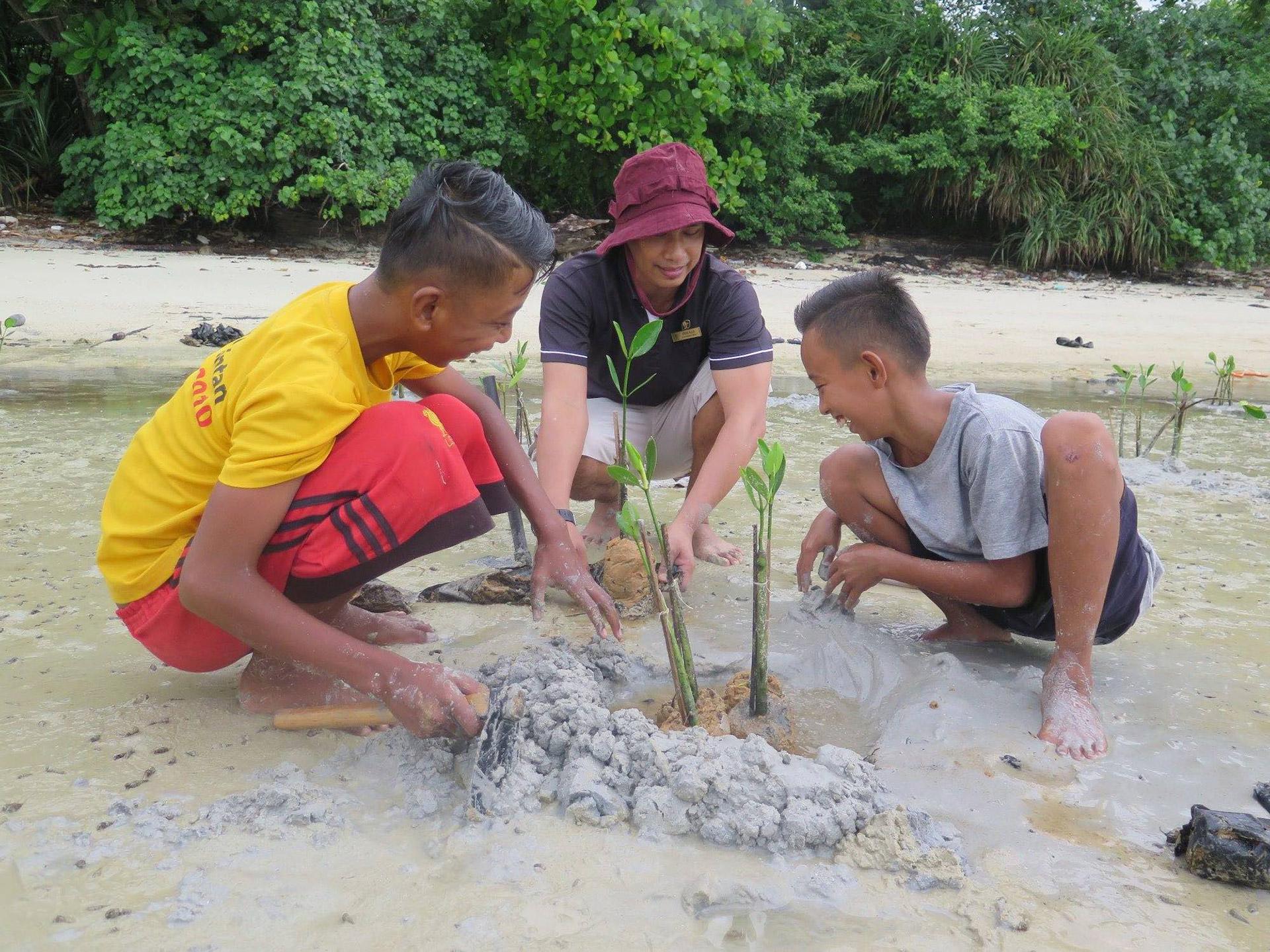 Banyan Tree Indonesia Bintan Gallery - Mangrove Planting