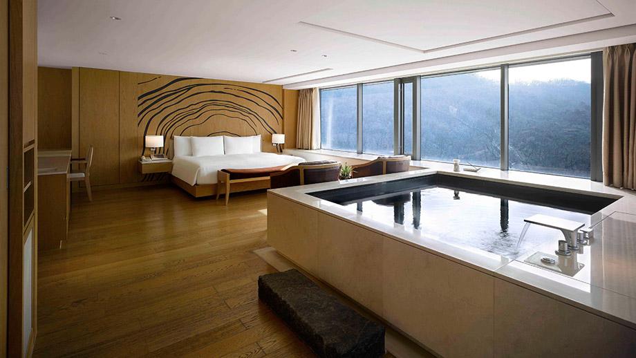 Banyan Tree South Korea Club And Spa Seoul Accommodation - Namsan Pool Deluxe Day View