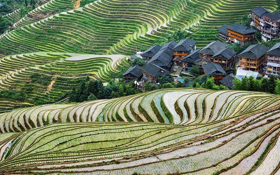 Banyan Tree China Yangshuo Experiences - Tours Longsheng